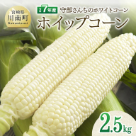 【令和7年度産】守部さんちのホワイトコーン「ホイップコーン」2.5kg【 とうもろこし ホワイトコーン トウモロコシ ホイップコーン 令和7年発送 先行予約 数量限定 期間限定 】