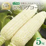 【令和7年度産】守部さんちのホワイトコーン「ホイップコーン」5kg【 とうもろこし ホワイトコーン トウモロコシ ホイップコーン 令和7年発送 先行予約 数量限定 期間限定 】