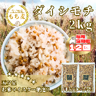 CIB39_【１２回定期便】ダイシモチ２ｋｇ もち麦 キラリ もち麦ごはん