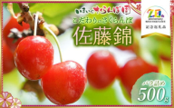 【令和7年産先行予約】こだわりのさくらんぼ 「佐藤錦」 バラ詰め 500g　いまいのさくらんぼ園　K-728　【市制施行20周年記念返礼品】