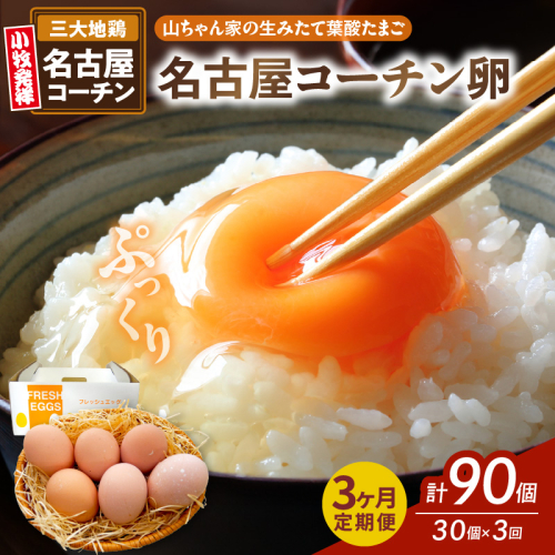 【3ヶ月定期便】【山ちゃん家の生みたて葉酸たまご】名古屋コーチン卵（30個入り）［132Y01-T］ 2087792 - 愛知県小牧市