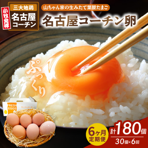 【6ヶ月定期便】【山ちゃん家の生みたて葉酸たまご】名古屋コーチン卵（30個入り）［132Y02-T］ 2087793 - 愛知県小牧市
