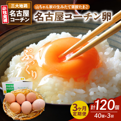 【3ヶ月定期便】【山ちゃん家の生みたて葉酸たまご】名古屋コーチン卵（40個入り）［132Y03-T］ 2087794 - 愛知県小牧市