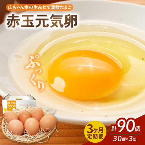 【3ヶ月定期便】【山ちゃん家の生みたて葉酸たまご】赤玉元気卵（30個入り）［132Y05-T］ 2087797 - 愛知県小牧市