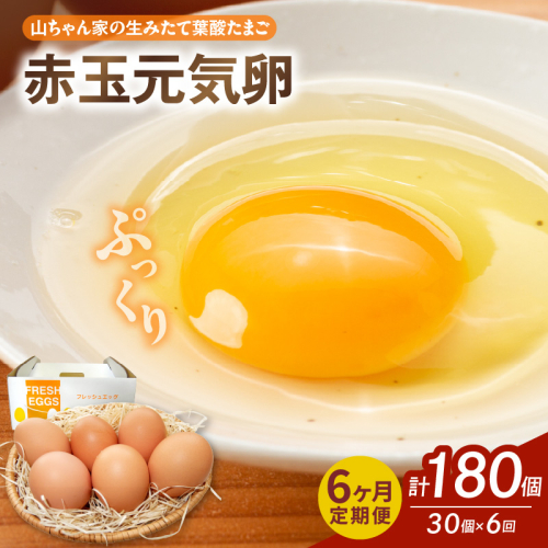 【6ヶ月定期便】【山ちゃん家の生みたて葉酸たまご】赤玉元気卵（30個入り）［132Y06-T］ 2087798 - 愛知県小牧市