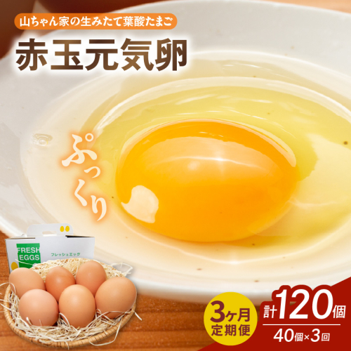 【3ヶ月定期便】【山ちゃん家の生みたて葉酸たまご】赤玉元気卵（40個入り）［132Y07-T］ 2087799 - 愛知県小牧市
