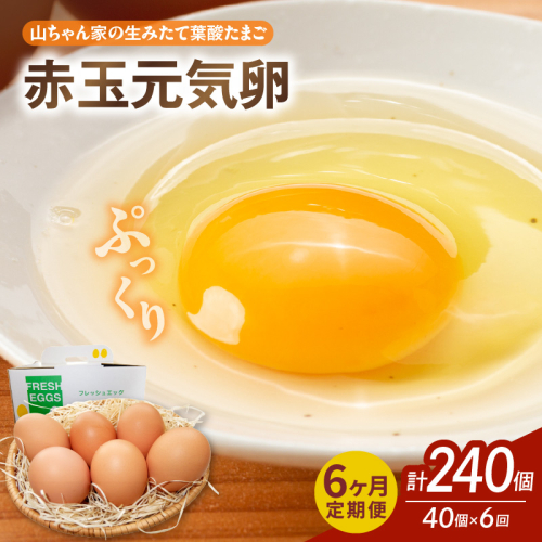 【6ヶ月定期便】【山ちゃん家の生みたて葉酸たまご】赤玉元気卵（40個入り）［132Y08-T］ 2087801 - 愛知県小牧市