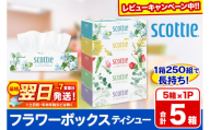 スコッティ ティッシュペーパー フラワーボックス 5箱×1パック【レビューキャンペーン中】 秋田市オリジナル