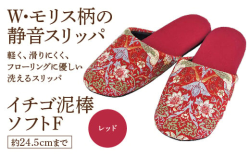 いちご泥棒ソフトF(約24.5cmまで) レッド 【04301-0590-5】 2087981 - 宮城県蔵王町