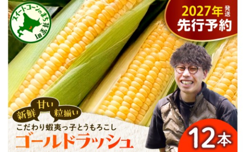 【先行受付】【2027年8月上旬～9月上旬頃発送予定】朝採りをお届け！ 北海道十勝芽室町　蝦夷っ子とうもろこし ゴールドラッシュ 12本 me076-009-27b