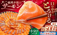 【全6回定期便】 長崎県雲仙産 橘湾夕焼けサーモン 約500g 長崎県/株式会社天洋丸 小分け 養殖 サーモン 国産 [42ALAC006]