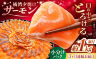【全3回定期便】 長崎県雲仙産 橘湾夕焼けサーモン 約1kg 長崎県/株式会社天洋丸 小分け 養殖 サーモン 国産 [42ALAC007]