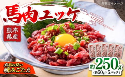 馬肉ユッケ　計約250g　約50g×5パック 小分け　【株式会社 肉の山本】 [AYBK003] 2088416 - 熊本県合志市