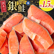 訳あり 無添加 減塩 塩銀鮭 【厚切り】 切身 総重量 1.5kg [足利本店 宮城県 気仙沼市 20565181] 魚 魚介類 サーモン 鮭 海鮮 魚介 塩分控えめ 甘塩味 規格外 不揃い さけ サケ 鮭切身 シャケ 切り身 銀鮭切り身 簡易包装 家庭用 訳アリ 冷凍