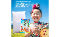 【柳川のお米】 元気つくし 4kg 白米 令和6年産 タカラの味わい 麦茶 52Pセット 米 ご飯 お茶 パック 水出し