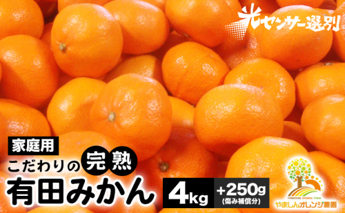 ＼光センサー選別／こだわりの完熟有田みかん 4kg＋250g(傷み補償分) 【ご家庭用】サイズ混合 有機質肥料100% ｜ みかん 有田みかん 温州みかん ミカン 温州ミカン 柑橘 温州 甘い コク 産地直送 ※2024年11月中旬～2025年1月上旬頃に順次発送予定 ※北海道・沖縄・離島への配送不可 208878 - 和歌山県美浜町