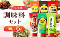 【ふるさと納税】調味料6点セット（四川豆板醤、甜面醤、コチジャン、オイスターソース、ゆず胡椒、にんにくおろし）各100ｇ×6 | 調味料 6種 那珂川町 栃木県