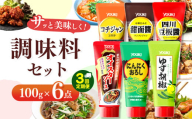 【ふるさと納税】【定期便3回】調味料6点セット（四川豆板醤、甜面醤、コチジャン、オイスターソース、ゆず胡椒、にんにくおろし）各100ｇ×6 | 調味料 6種 那珂川町 栃木県