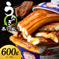 うなぎ 蒲焼き 暴れ盛り 合計 600g【鰻 真空パック 簡単調理 訳あり サイズ不揃い 人気 惣菜 うな重 うな丼 ひつまぶし にも】 099H3537