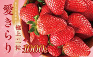 希少品種 愛きらり 1kg いちご 果物 フルーツ 旬 先行予約 期間限定 イチゴ 苺 パック 高糖度 甘い ケーキ フルーツサンド ジャム にも おすすめ 大満足 規格外 甘さ