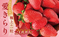 希少品種 愛きらり 2kg いちご 果物 フルーツ 旬 先行予約 期間限定 イチゴ 苺 パック 高糖度 甘い ケーキ フルーツサンド ジャム にも おすすめ 大満足 規格外 甘さ