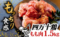 銘柄鶏 四万十鶏 もも肉 1.5kg ( 500g × 3パック ) | 切身 カットでかんたん時短セット カット済み 鳥肉 とりにく 鶏もも 冷凍 国産 ブランド 唐揚げ 煮物 鍋 チキン 南蛮 高知県 須崎市 TM043
