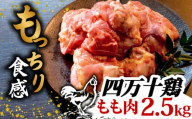 銘柄鶏 四万十鶏 もも肉 2.5kg ( 500g × 5パック ) | 切身 カットでかんたん時短セット カット済み 鳥肉 とりにく 鶏もも 冷凍 国産 ブランド 唐揚げ 煮物 鍋 チキン 南蛮 高知県 須崎市 TM045