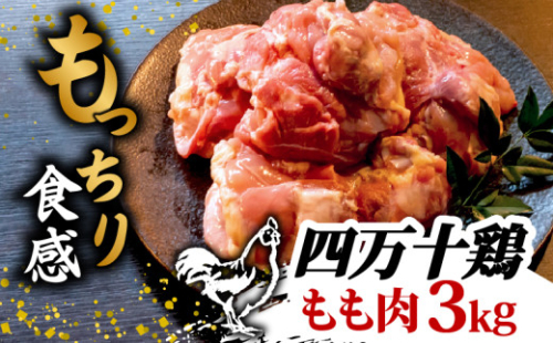 銘柄鶏 四万十鶏 もも肉 3kg ( 500g × 6パック ) | 切身 カットでかんたん時短セット カット済み 鳥肉 とりにく 鶏もも 冷凍 国産 ブランド 唐揚げ 煮物 鍋 チキン 南蛮 高知県 須崎市 TM046