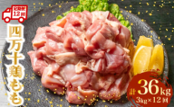 【定期12回】銘柄鶏 四万十鶏 もも肉 計36kg（3kg×12ヶ月連続お届け) 5Lコース | 切身 カット 時短 小分け カット済み 鳥肉 とりにく 鶏もも 冷凍 国産 ブランド 唐揚げ 煮物 鍋 チキン 南蛮 高知県 須崎市 TM118000