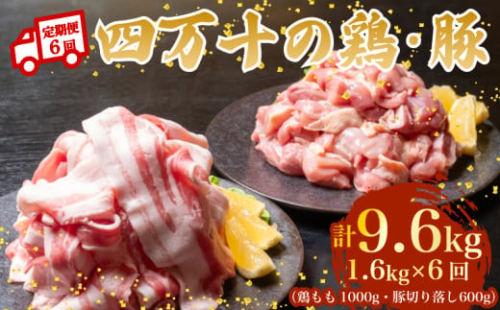 【6ヶ月連続】四万十ブランド 鶏肉1kg 豚肉600g（計1.6kg×6回) 9.6kg 6回定期便 6Cコース｜ 四万十ポークスライス 四万十ポーク 豚バラ肉 小分け 小間切れ スライス 切り落とし 冷凍 真空パック 細切れ 切身 カット 一口大 カット済み  四万十鶏 鳥肉 とりにく 鶏もも 国産 ブランド 唐揚げ 煮物 鍋 チキン 高知県 須崎市 TM135000 2089658 - 高知県須崎市