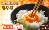【３回定期便】もみじ卵 計90個(10個×3パック×3回) ※割れ保証5個含む | 卵焼き たまごとじ 卵サンド 卵かけ たまごやき 卵とじ えひめのたまご 卵サンド たまご炒め 卵焼 たまごさんど 卵かけ  たまごいため  エヒメノたまご 卵いため たまごさんど たまごかけ 鶏卵 卵やき 玉子とじ 愛媛のたまご 卵とじ たまご炒め 卵かけ たまごご飯 ふるさと納税卵 卵