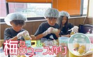 カフェドマンマ食事券1500円分＆カラフル梅ジュースづくり体験チケット  A-096a