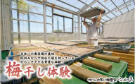 カフェドマンマ食事券1500円分＆梅干し作業体験チケット  A-002b