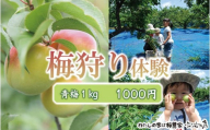 カフェドマンマ食事券2000円分＆梅狩り体験チケット ※≪6月1日～15日≫のみ体験受付可 A-001b