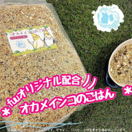 【3ヶ月定期便】fuu オカメインコのごはん（400g）［145S50-T］