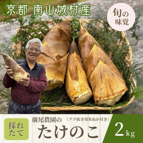 【京都 旬の味覚】廣尾農家の朝堀りたけのこ 2kg 京都南山城村産 筍 野菜 タケノコ 京野菜 新鮮 旬 季節限定 2090270 - 京都府南山城村