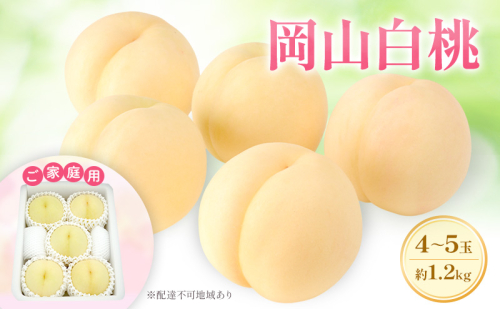 もも 2025年 先行予約 【ご家庭用】 岡山白桃 エース 4～5玉 約1.2kg  (6月下旬～7月下旬出荷予定) 2090367 - 岡山県里庄町