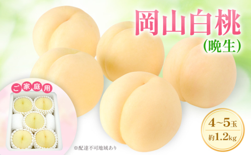 もも 2025年 先行予約 【ご家庭用】 岡山白桃 エース (晩生) 4～5玉 約1.2kg  (8月中旬～8月下旬出荷予定) 2090369 - 岡山県里庄町