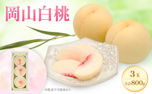 もも 2025年 先行予約 岡山白桃 ロイヤル 3玉 合計約800g  (7月上旬～7月下旬出荷予定) 2090370 - 岡山県里庄町