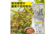 炒り玄米1kg　栽培期間中農薬不使用　静岡市葵区産