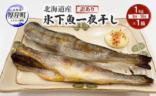 北海道産 訳あり 氷下魚 一夜干し 1kg こまい コマイ 魚 魚介類  白身魚 干物 ひもの 北海道 厚岸町 2090594 - 北海道厚岸町