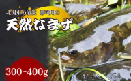 天然なまず(切り身) 北関東の清流「那珂川産」 300g～400g 真空冷凍 | 天然 鯰 ナマズ 鮮魚 新鮮 北関東 清流 天ぷら から揚げ 味噌漬け焼き アヒージョ Riverline 栃木県 茂木町