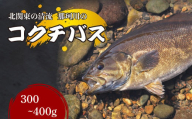 コクチバス 北関東の清流「那珂川産」300～400g 冷凍 | コクチバス 天然 鮮魚 川魚 釣り 新鮮 北関東 清流 唐揚げ から揚げ 素揚げ 塩焼き 炭火焼 外来魚 特定外来生物 未利用魚 Riverline 栃木県 茂木町