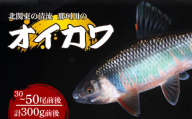 天然オイカワ 北関東の清流「那珂川産」 30～50尾前後 計300g前後 冷凍 | オイカワ 天然 釣り 川魚 鮮魚 新鮮 北関東 清流 唐揚げ から揚げ 素揚げ 塩焼き 炭火焼 Riverline 栃木県 茂木町