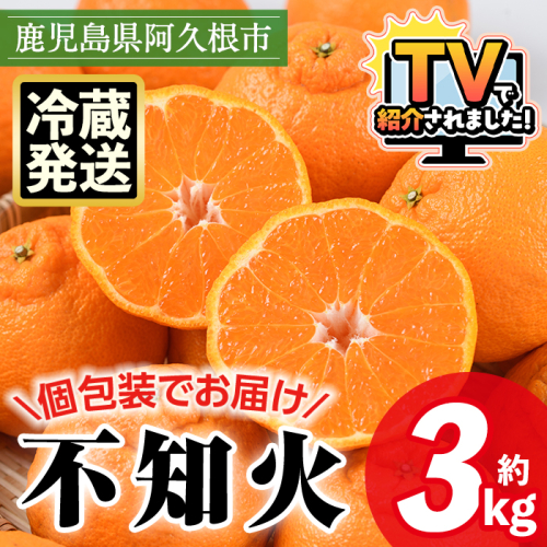 ＜先行予約受付中！2026年4月上旬以降順次発送予定＞数量限定！冷蔵不知火「クールな大将季」(計約3kg) 国産 みかん ミカン 柑橘 フルーツ 果物 旬 デザート 数量限定 阿久根市産 露地 しらぬい シラヌイ 冷蔵 期間限定 クール【三笠農業生産】akn051-06 2090742 - 鹿児島県阿久根市