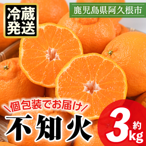＜先行予約受付中！2026年4月上旬以降順次発送予定＞数量限定！冷蔵不知火「クールな大将季」(計約3kg) 国産 みかん ミカン 柑橘 フルーツ 果物 旬 デザート 数量限定 阿久根市産 露地 しらぬい シラヌイ 冷蔵 期間限定 クール 【三笠農業生産】a-17-21-z 2090742 - 鹿児島県阿久根市
