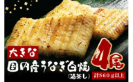 大きな国内産うなぎ白焼(酒蒸し)4尾　計560g以上 (A23-032)