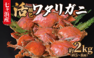 《先行予約》【7月中旬発送】 七ヶ浜産 ワタリガニ 約 2kg (5〜8杯) 活 梱包 ｜ 七ヶ浜町 漁協 かに カニ 蟹 渡り蟹 ボイル パスタ ガザミ 国産 天然 茹でガニ 新鮮 ｜ jf-wg02-R7