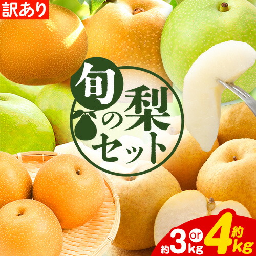 訳あり なし 梨 旬 鳥取県産 旬の梨セット 選べる内容量 約3kg (3～10玉) 約4kg (4～13玉) 高間商店 《2025年8月下旬-2026年3月中旬頃出荷》鳥取県 八頭町 梨 なし 果物 フルーツ 幸水 豊水 秋栄梨 秋甘泉 新甘泉 新高梨 あたご梨 王秋梨 2091062 - 鳥取県八頭町
