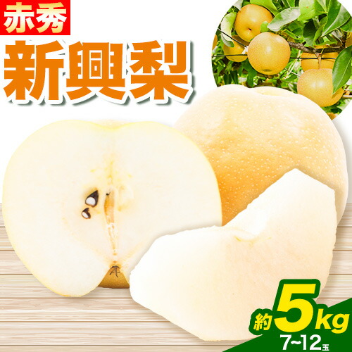 【先行予約】新興梨 赤秀 約5kg (7～12玉) JA鳥取いなば《2025年10月中旬-11月中旬頃出荷》鳥取県 八頭町 梨 なし ナシ 果物 フルーツ  ふるさと納税 送料無料 新興梨 果実 果汁 常温便 2091074 - 鳥取県八頭町